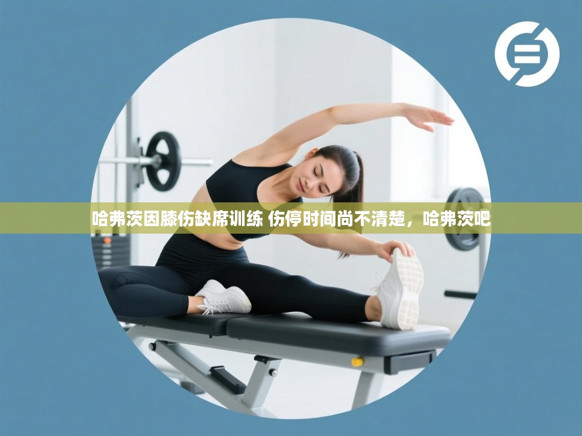 爱游戏娱乐网址-哈弗茨因膝伤缺席训练 伤停时间尚不清楚,哈弗茨吧 第2张